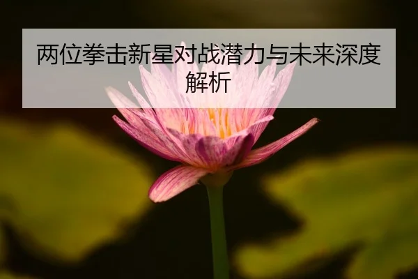 img_1792613787411_76_1_508.jpg